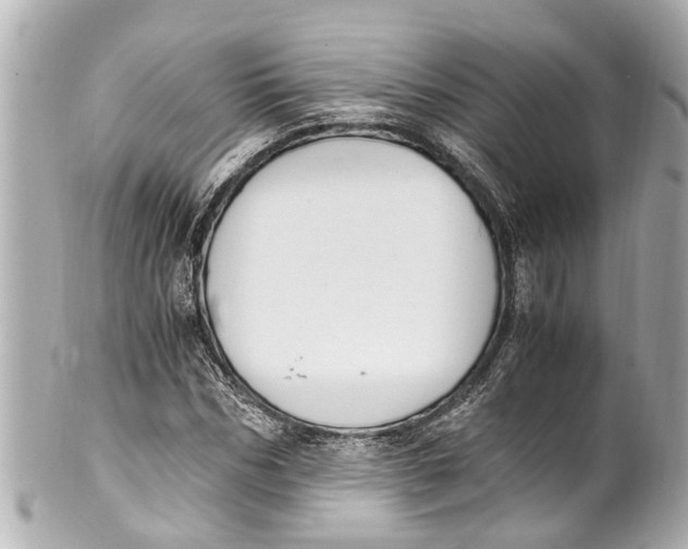 X0000101680970200807311515