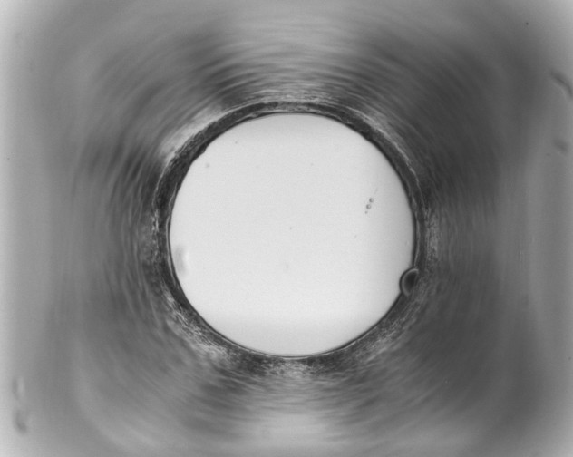 X0000101680971200807311515