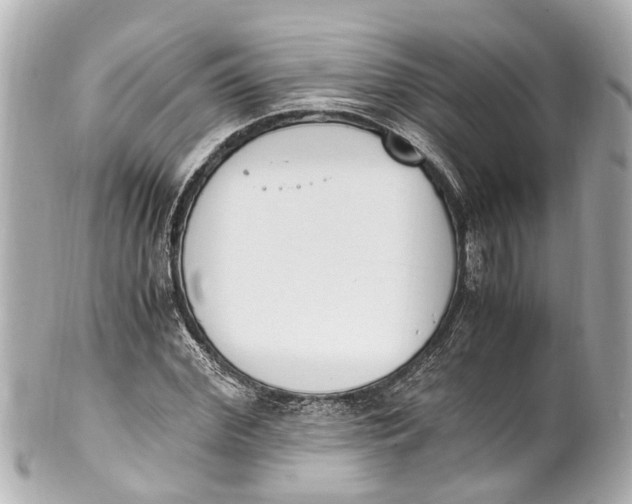 X0000101680972200807311515