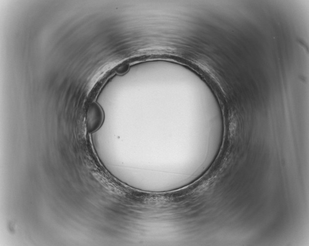 X0000101680973200807311515