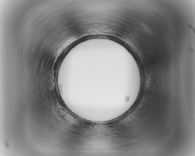 X0000101680974200807311515