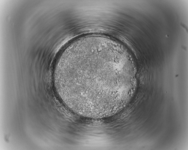 X0000101680975200807311515