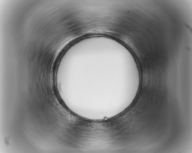 X0000101680976200807311515