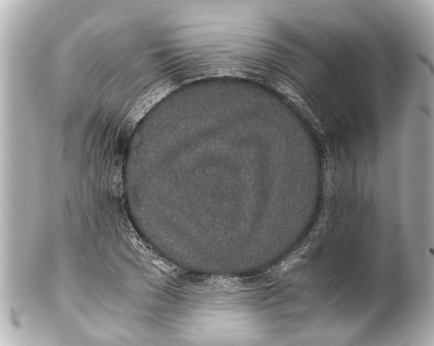 X0000101680977200807311515