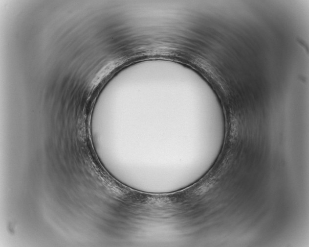 X0000101680978200807311515