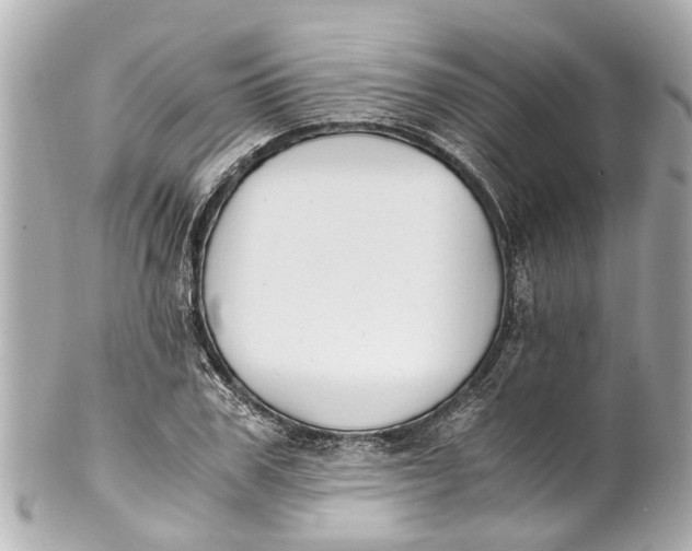 X0000101680979200807311515