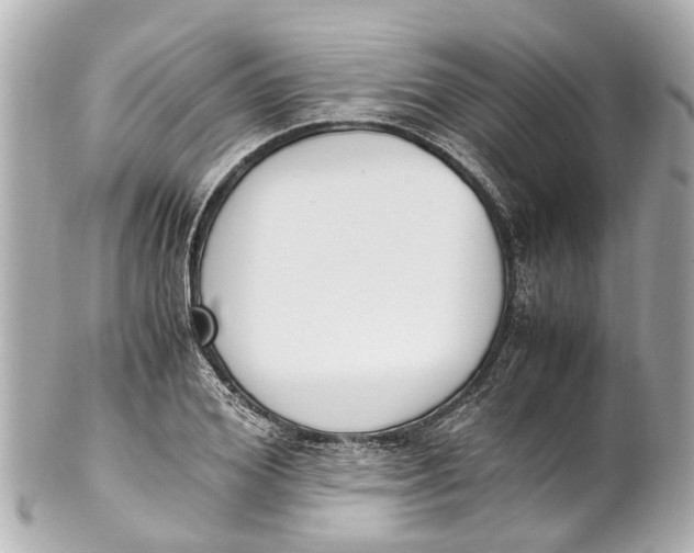 X0000101680980200807311515