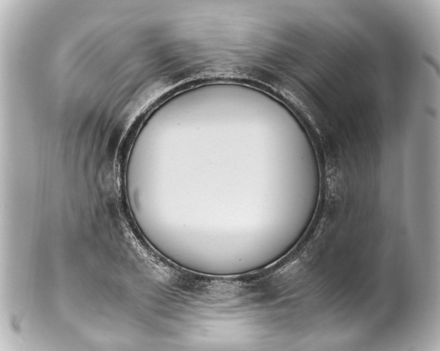 X0000101680981200807311515