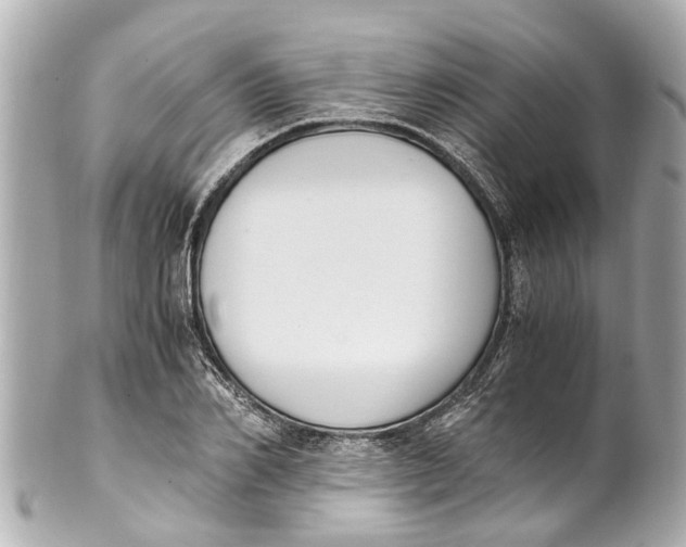 X0000101680982200807311515