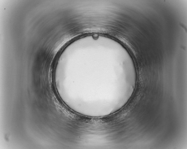 X0000101680983200807311515