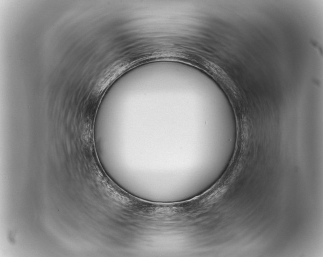 X0000101680985200807311515