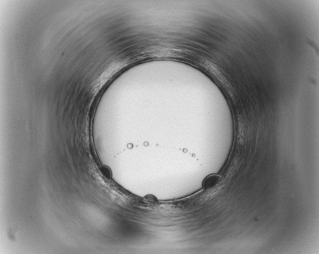 X0000101680986200807311515