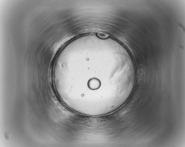 X0000101680987200807311515