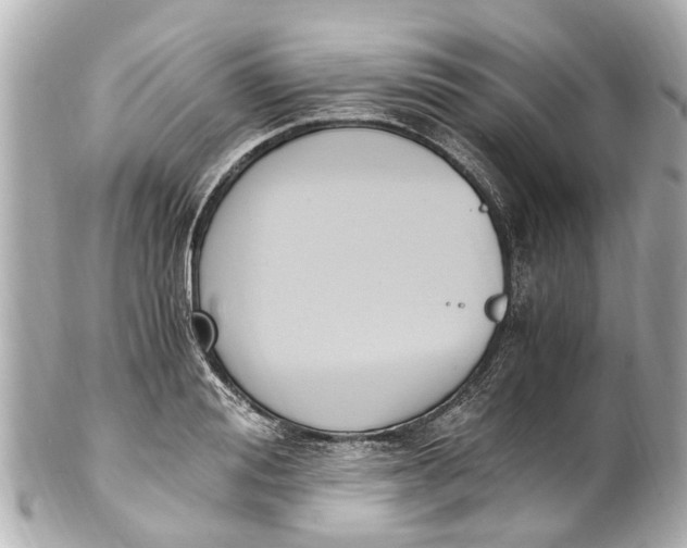 X0000101680988200807311515