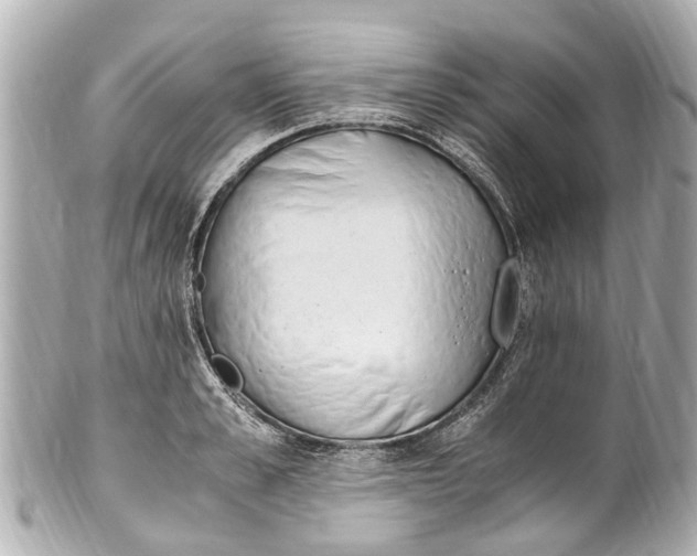 X0000101680989200807311515