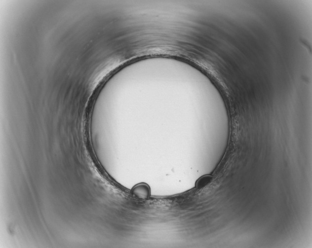 X0000101680991200807311515