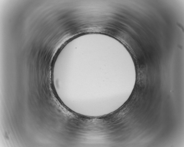 X0000101680992200807311515