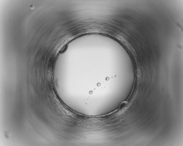 X0000101680993200807311515