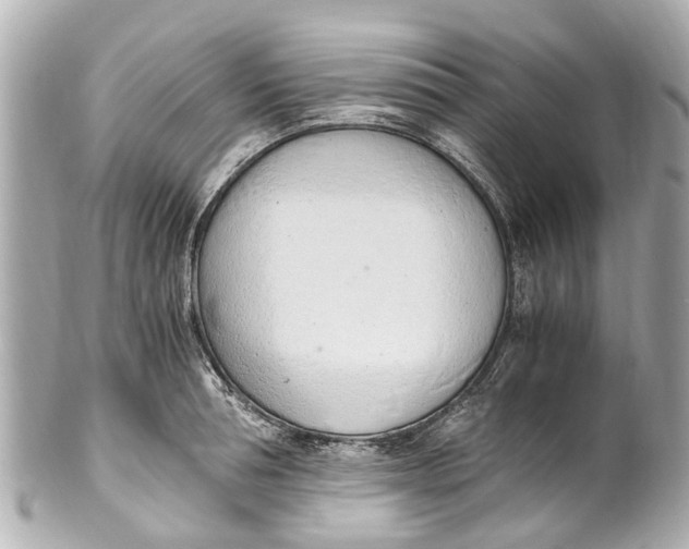 X0000101680994200807311515