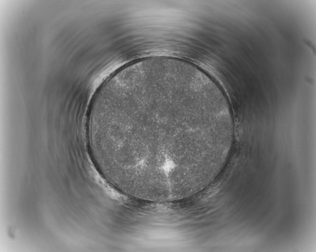 X0000101680995200807311515