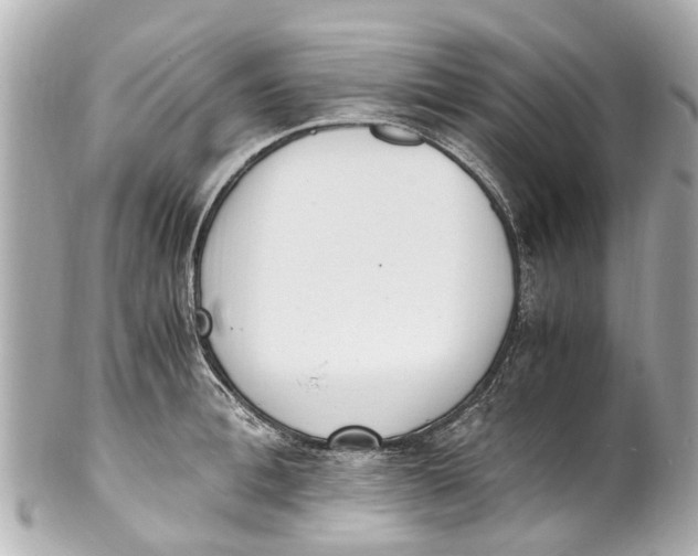 X0000101680996200807311515