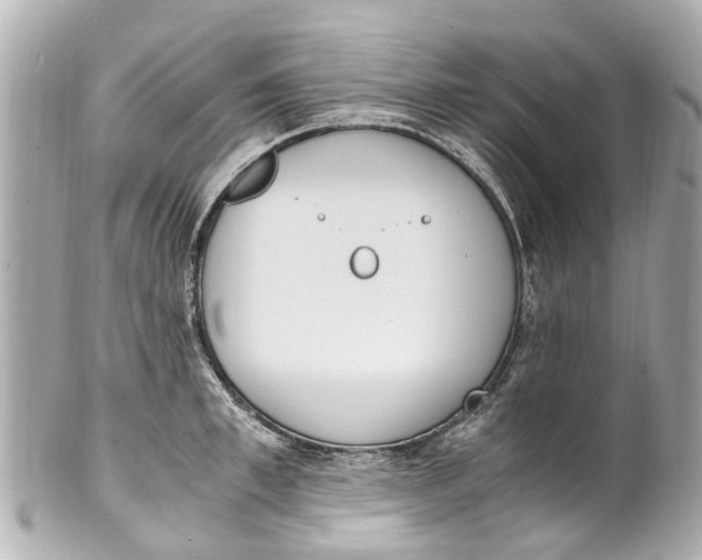 X0000101680997200807311515