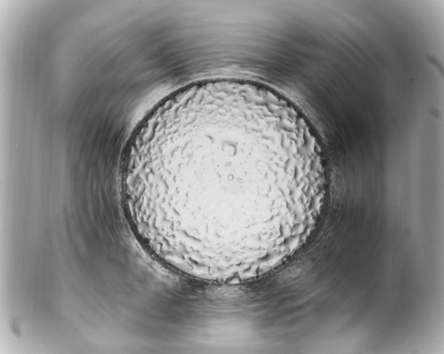 X0000101680998200807311515