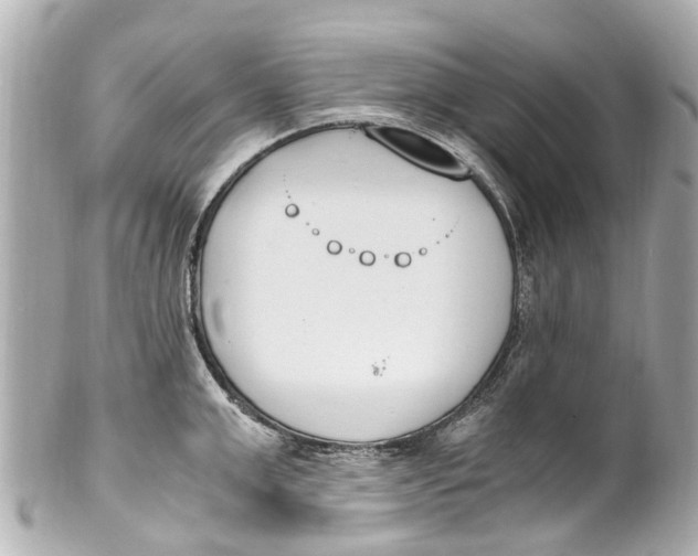 X0000101680999200807311515