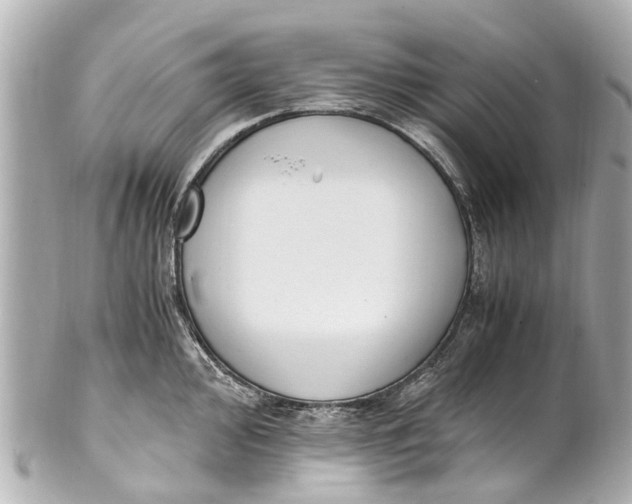 X0000101681000200807311515