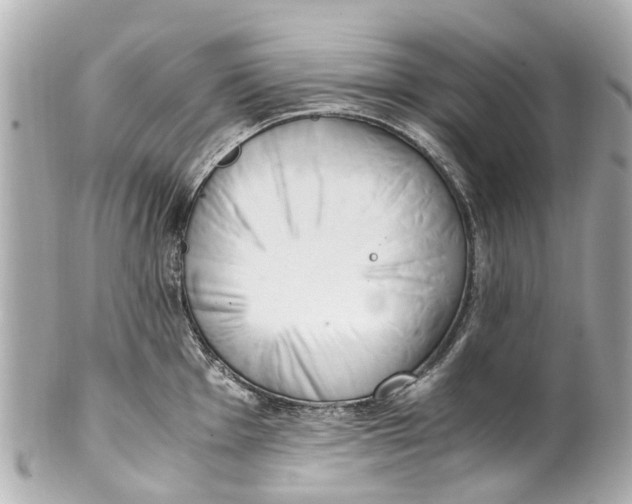 X0000101681001200807311515