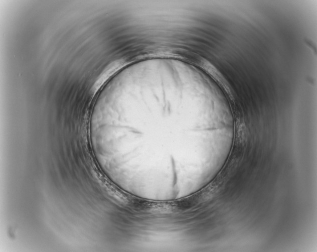 X0000101681002200807311515