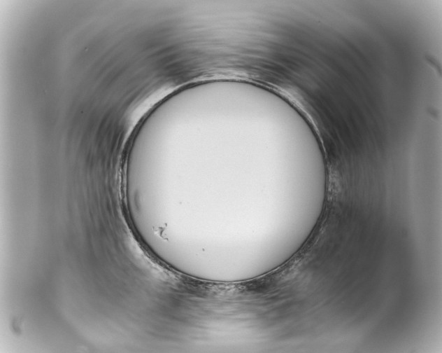 X0000101681003200807311515