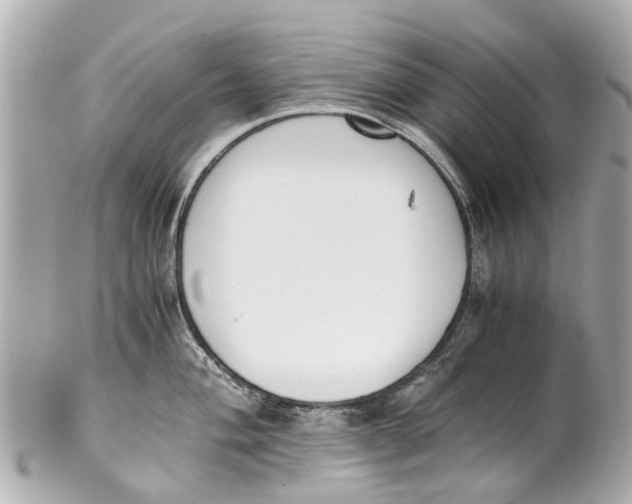 X0000101681004200807311515