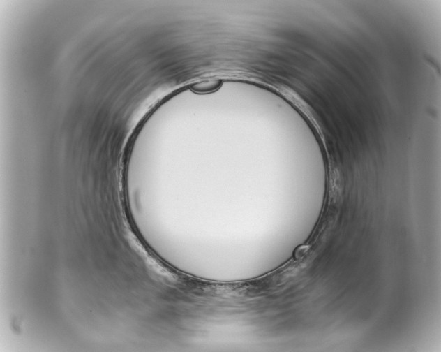 X0000101681005200807311515