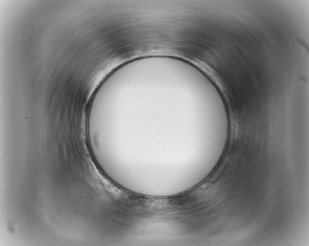 X0000101681006200807311515