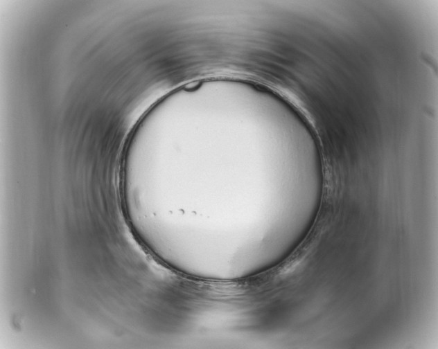 X0000101681007200807311515