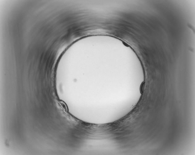 X0000101681008200807311515