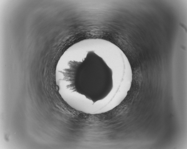 X0000101681009200807311514