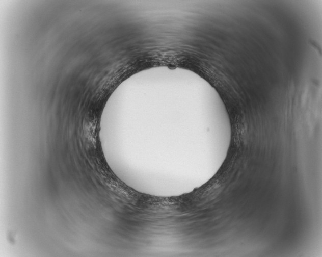 X0000101681010200807311514