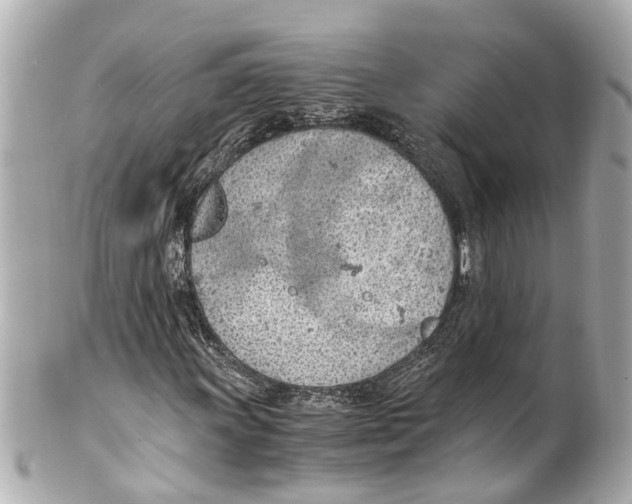 X0000101681011200807311514