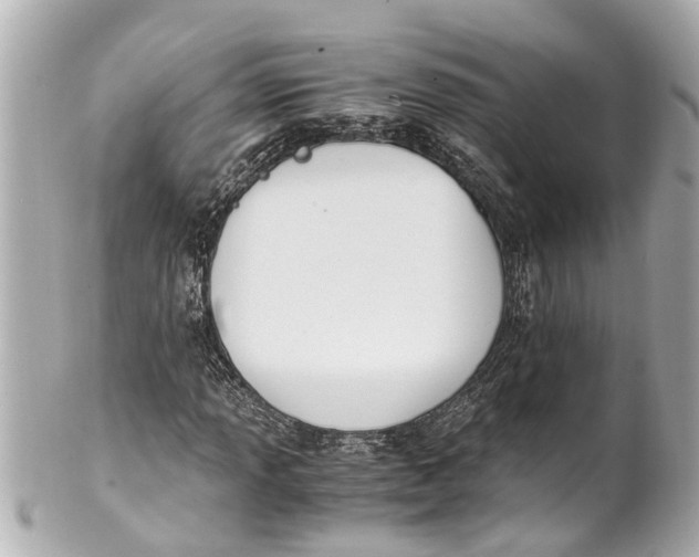 X0000101681013200807311514