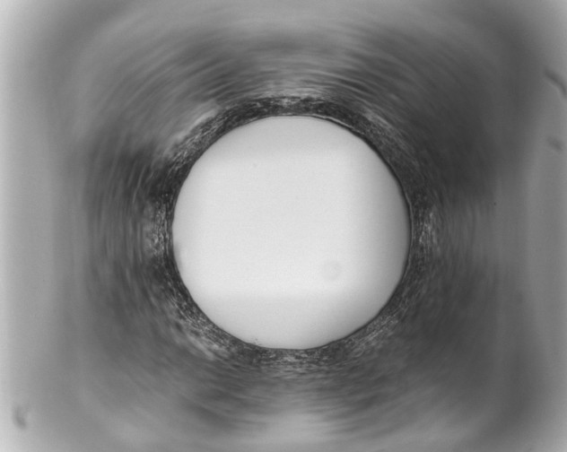 X0000101681014200807311514