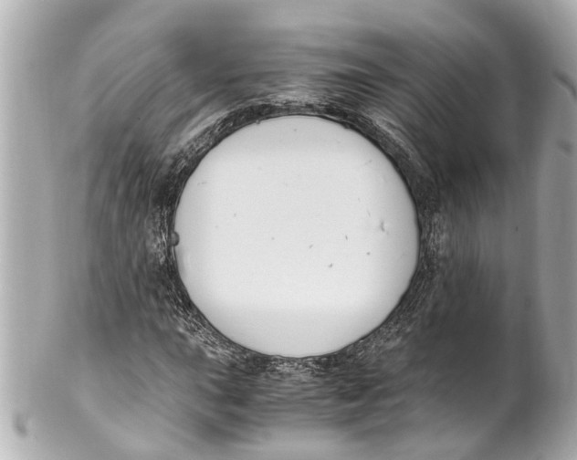 X0000101681015200807311514