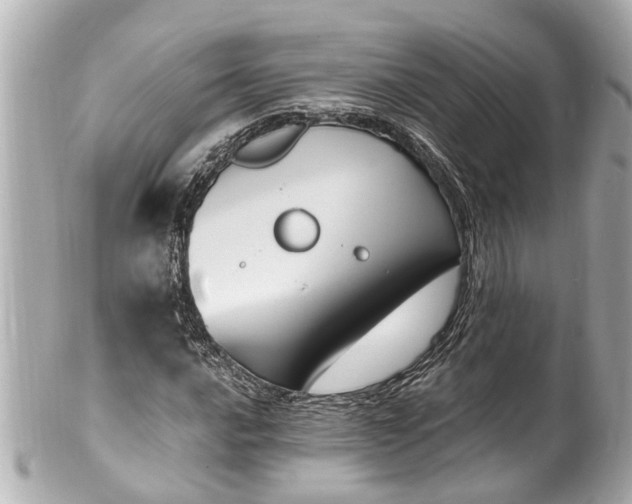 X0000101681016200807311514