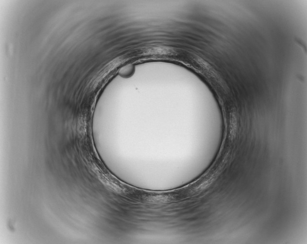 X0000101681017200807311514