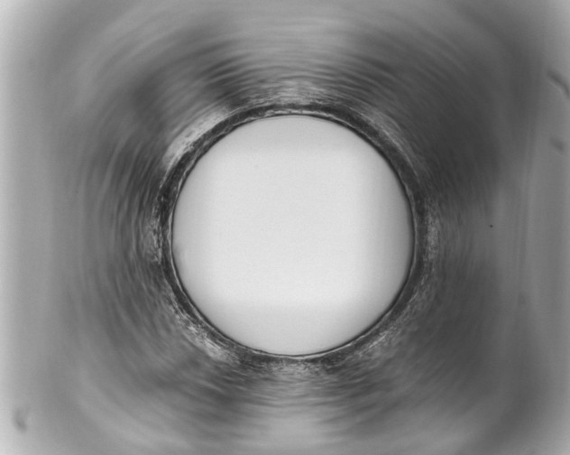 X0000101681018200807311514