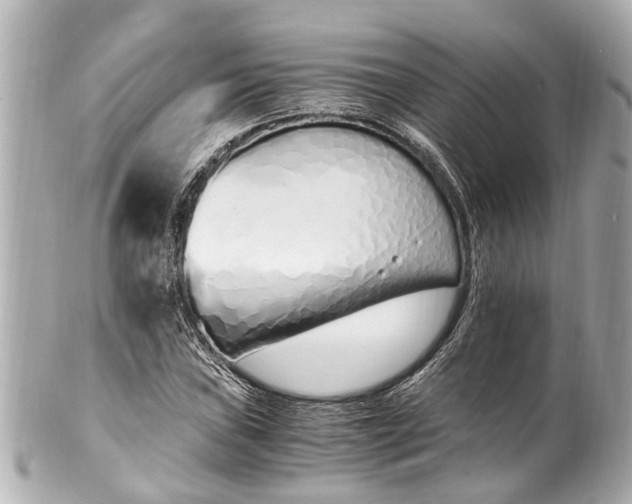 X0000101681019200807311514