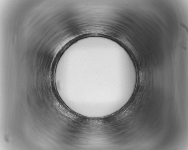 X0000101681020200807311514