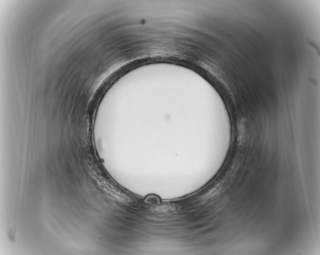 X0000101681021200807311514