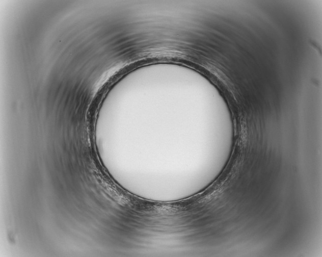 X0000101681022200807311514